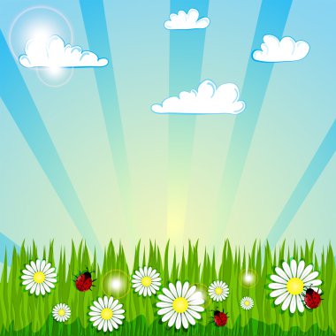 Spring summer background 